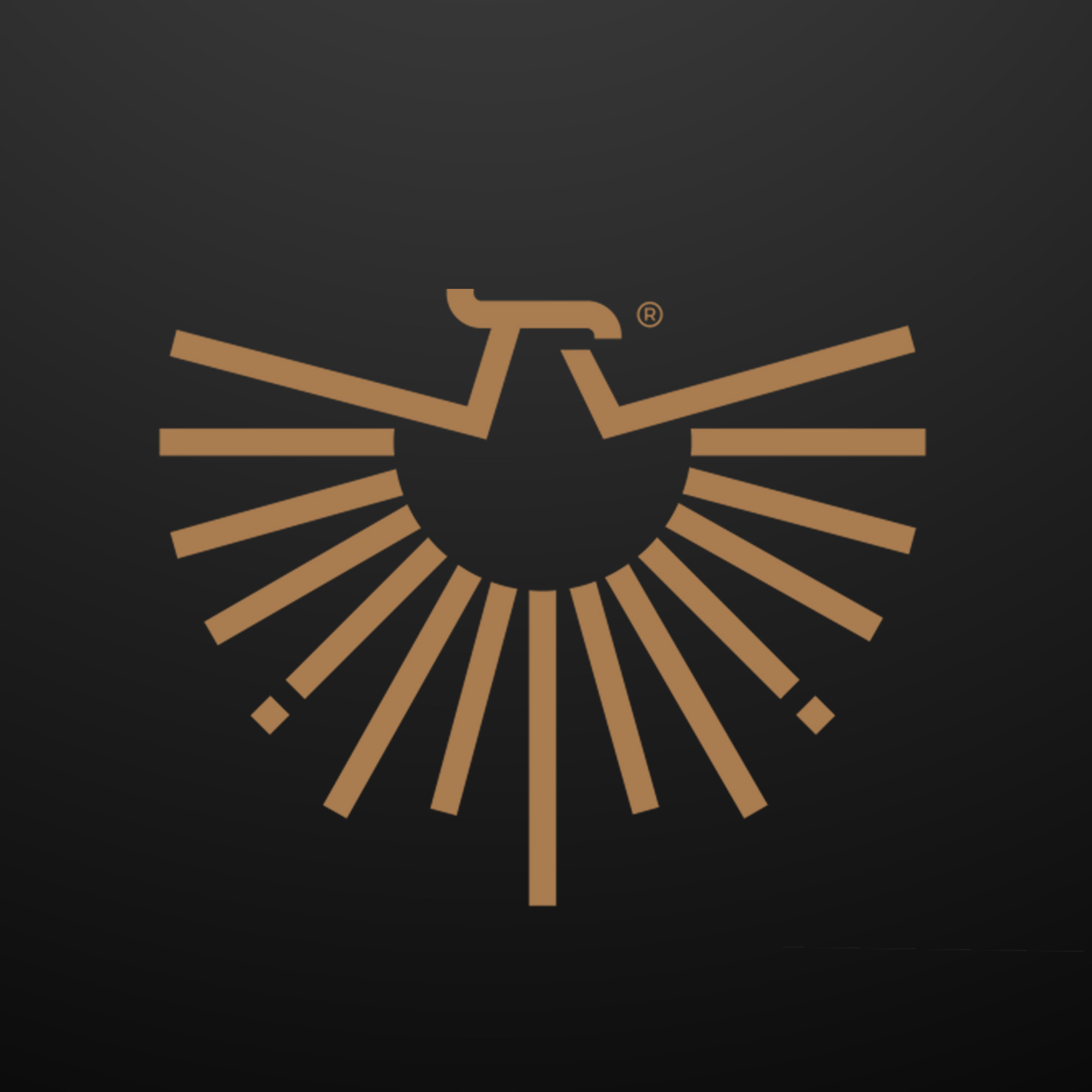 About Logo